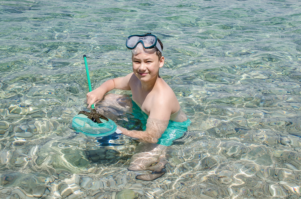 cresstarfish.jpg