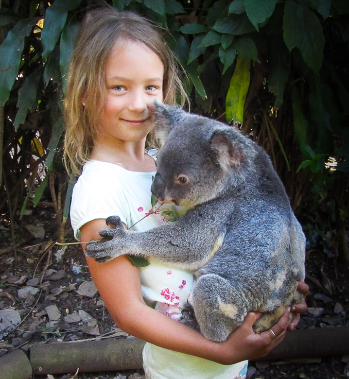 cooberrieparkmillaholdingkoala.jpg