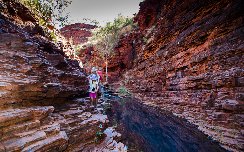 karijininationalparkhikinginhancockgorge.jpg