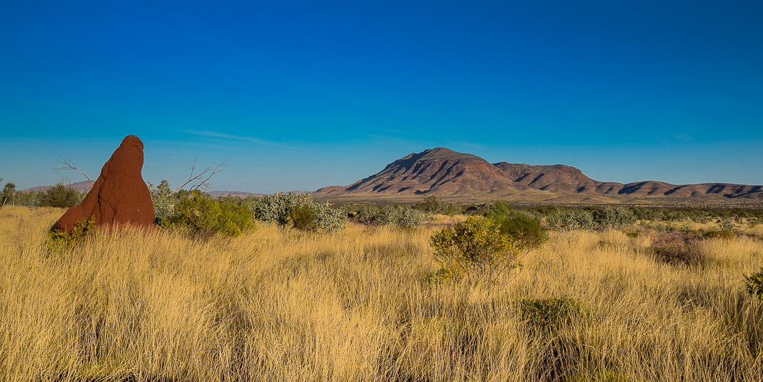 karijininationalparkmtbruce.jpg