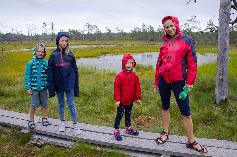 estonialahemaanationalparkhiking.jpg