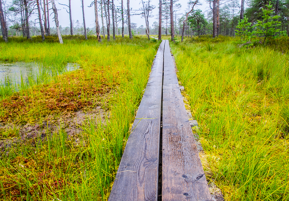 estonialahemaanationalparkpath.jpg