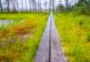 estonialahemaanationalparkpath_small.jpg