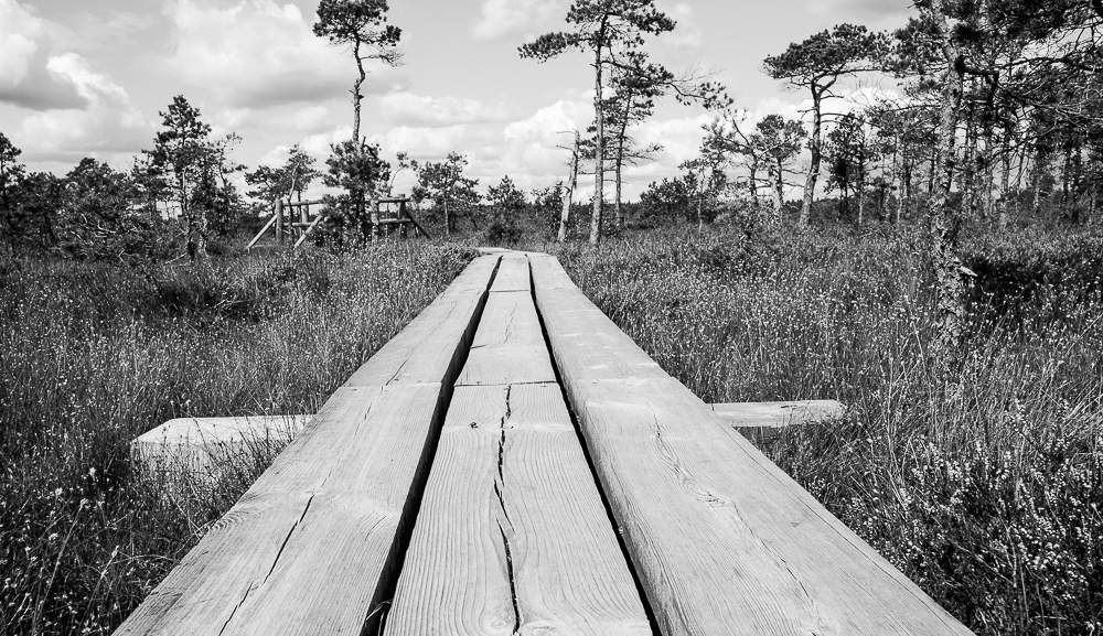 latviakemerinationalparkpath.jpg