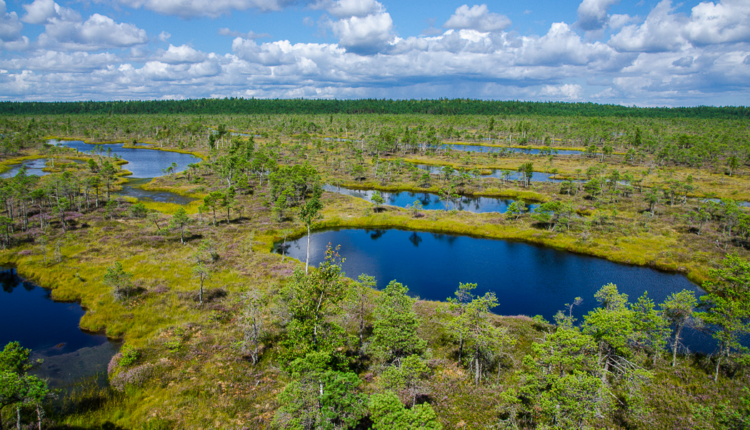 latviakemerinationalparkscenery.jpg