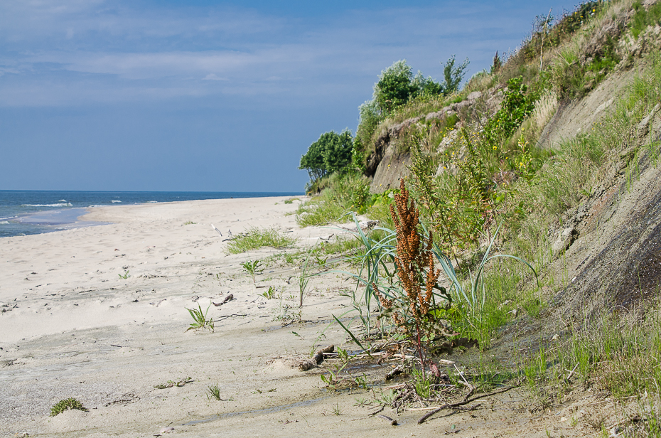 lithuaniaklaipedabeach.jpg