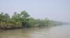 sundarbanflora_small.jpg