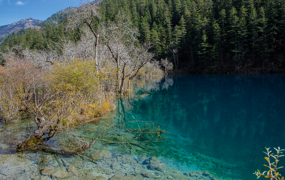 jiuzhaigounationalparkmominglake.jpg