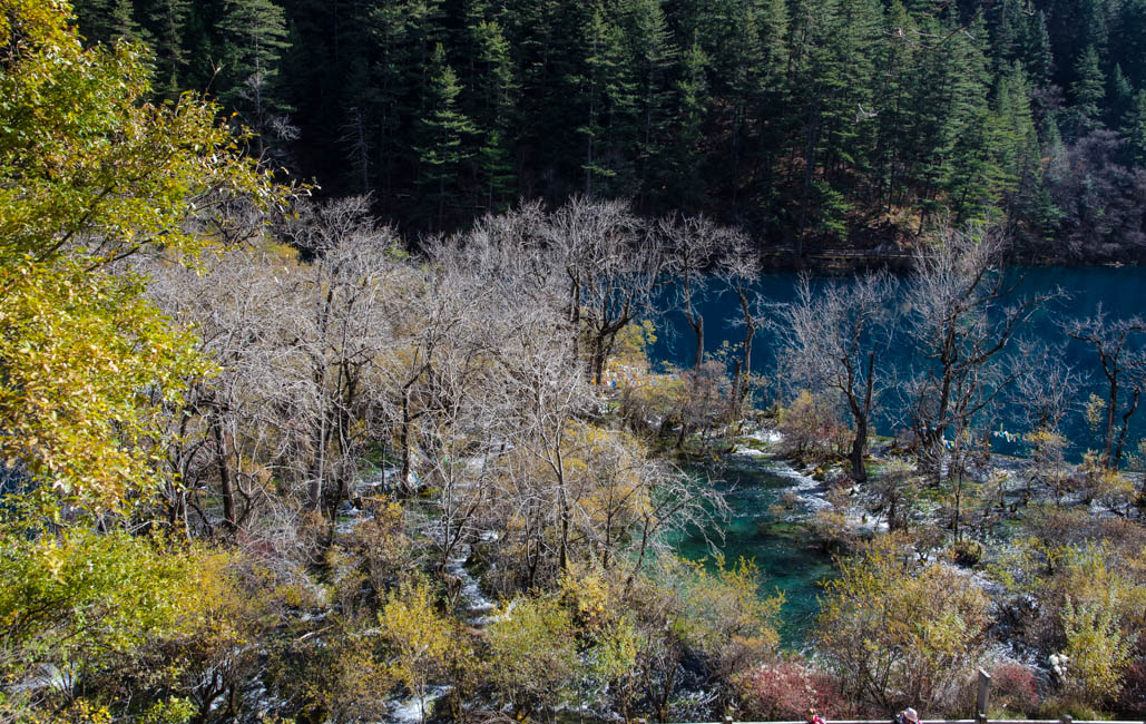 jiuzhaigounationalparkshuzhenglakes.jpg