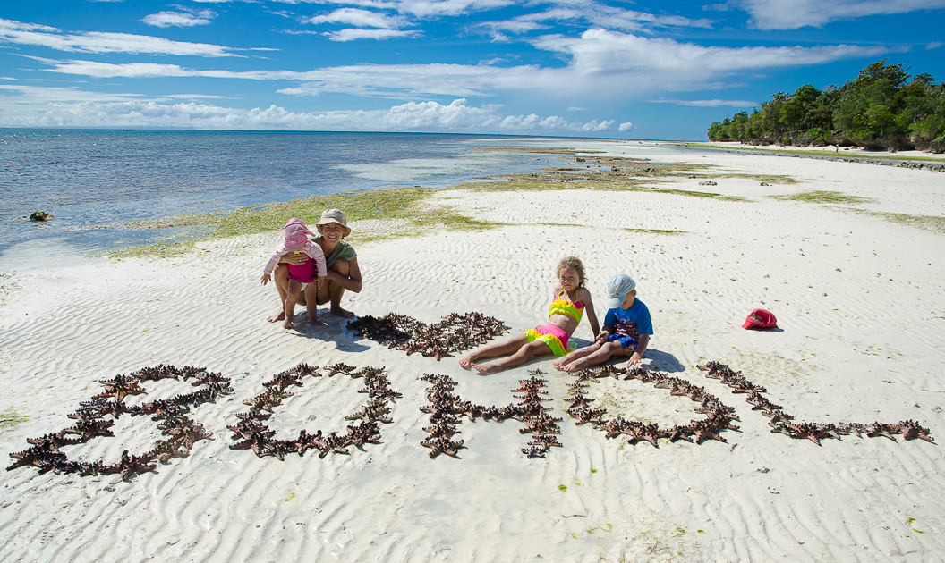 boholstarfishlabelingonandabeach.jpg