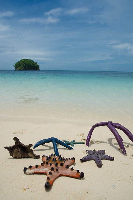 boracayislandiligiliganbeachstarfishexpedition.jpg