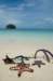 boracayislandiligiliganbeachstarfishexpedition_small.jpg