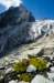 alpyecrinsnpglacierblancflra_small.jpg