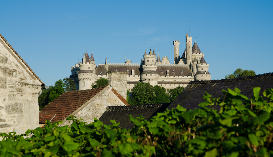 chateaudepierrefondszozhrady.jpg