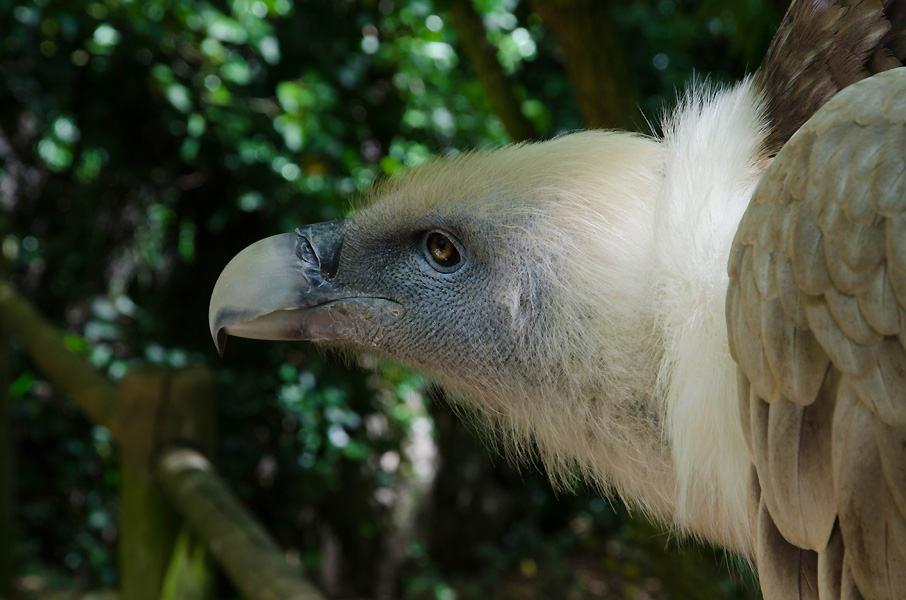 loirevalleyzoodedoue.jpg