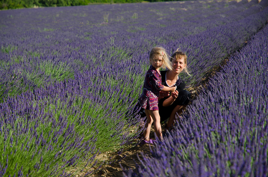 provenslskolevandulovpoliaprivalensole.jpg