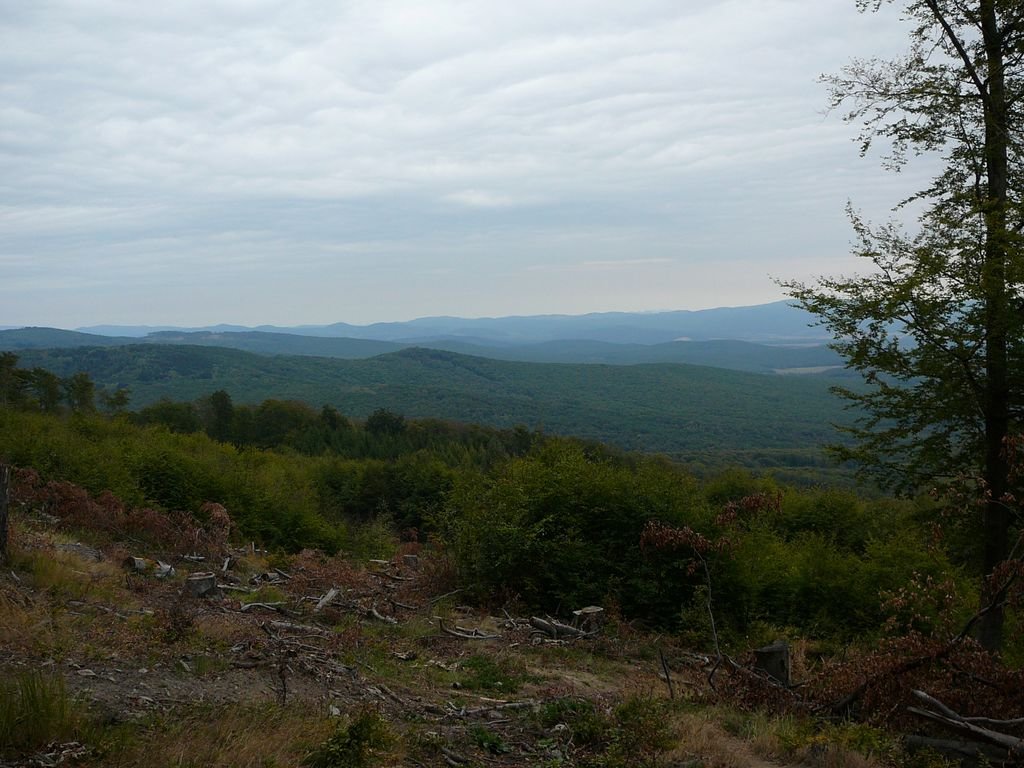 ponitrianska100ka_15.jpg