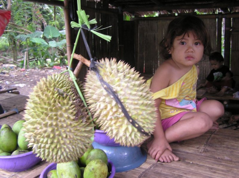 duriannrodnovociebudhomilujealebonenvid.jpg