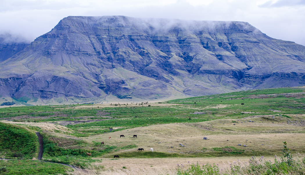landscapearoundreykjavik.jpg