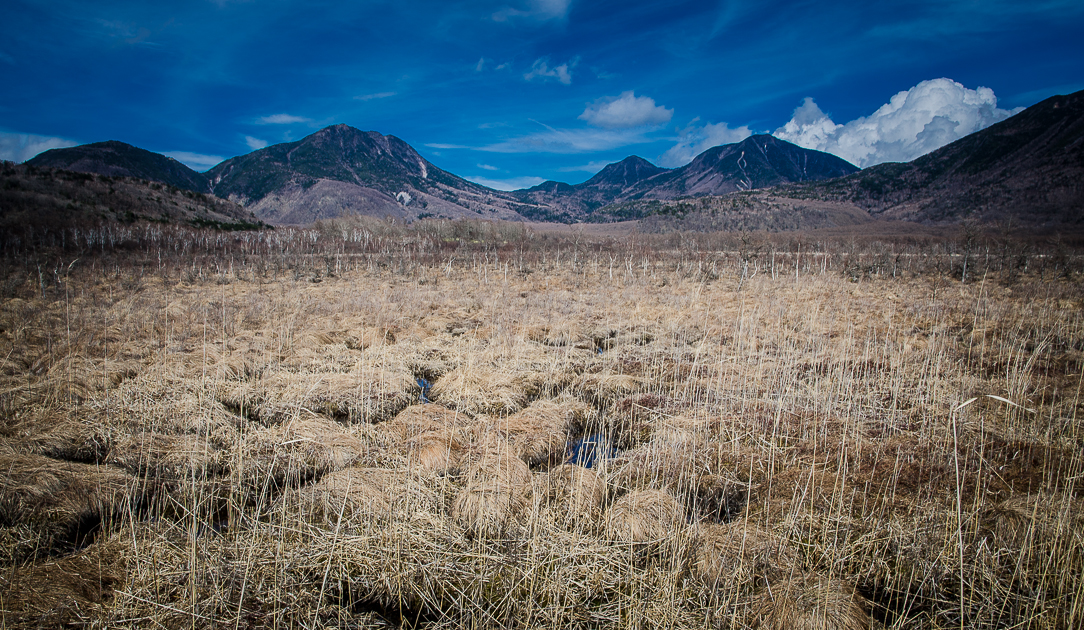 nikkonationalparksenjogaharamarshlandview.jpg