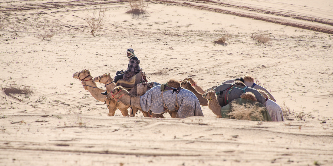 wadirumbedouin.jpg