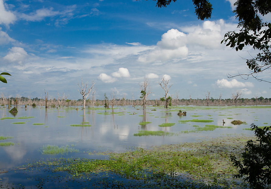 wetlandsrealcambodiaduringwetseason.jpg