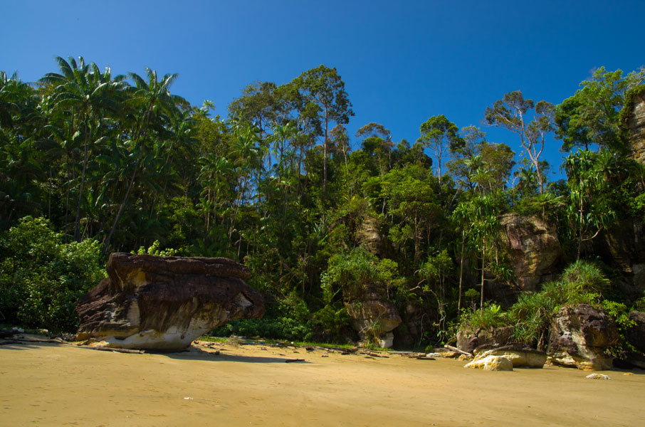 borneobakonationalparkbeach.jpg