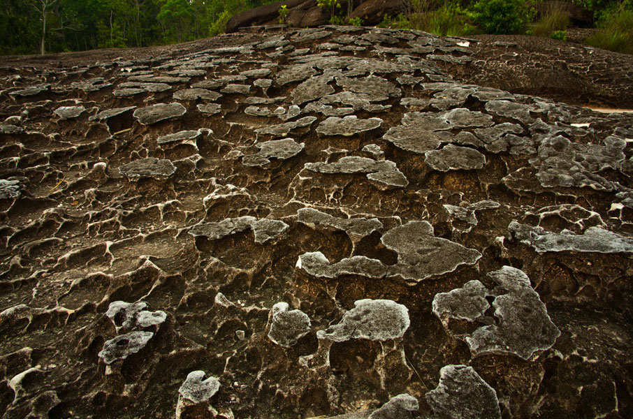 borneobakonationalparkmantlerock.jpg