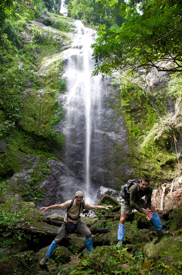 borneodanumvalleywaterfalls.jpg