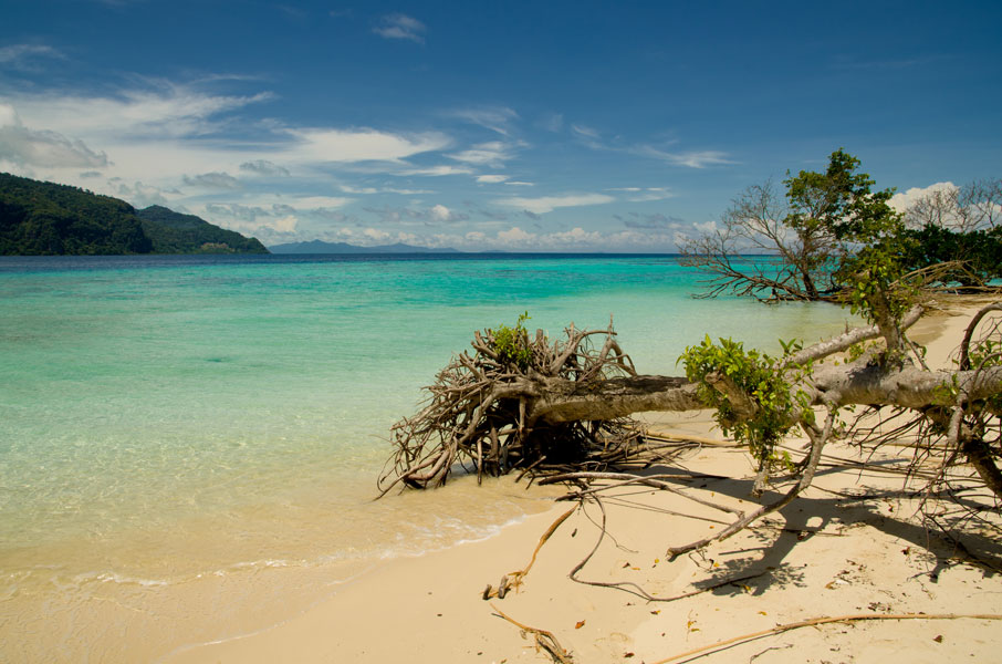 borneomantabuanisland.jpg