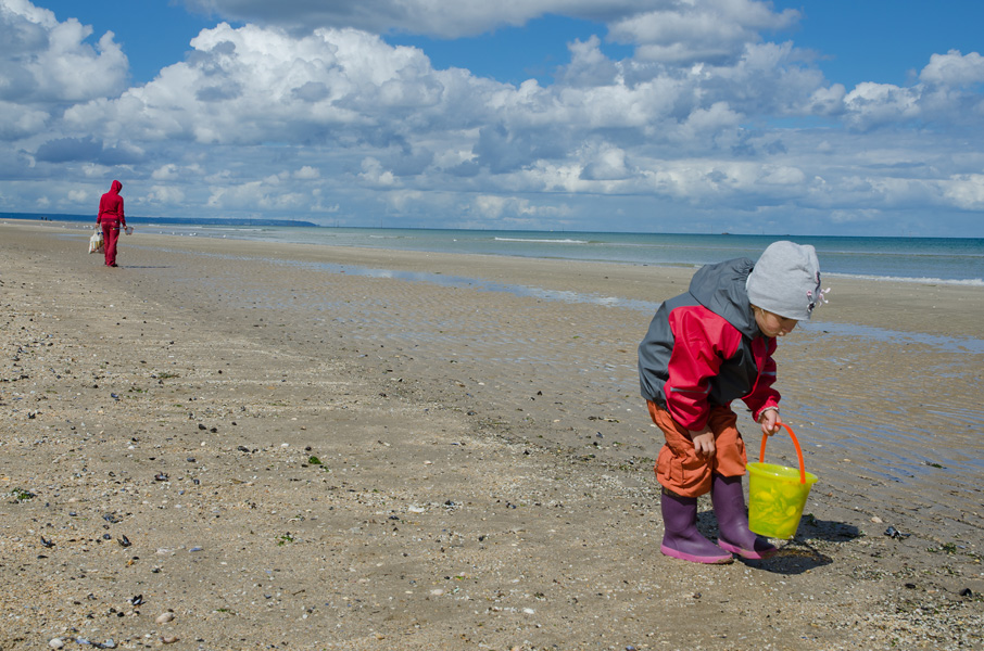 normandiautahbeachzbermul.jpg