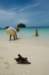 filipnyboracay_small.jpg