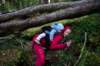 fjordlandnationalparkhikinginforest_small.jpg