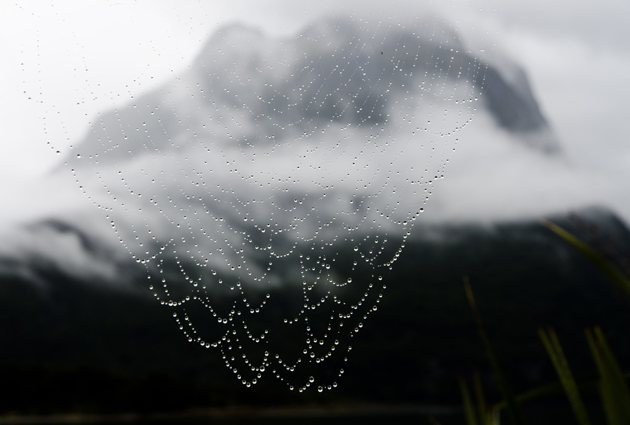 fjordlandnationalparkwaterdropnecklace.jpg