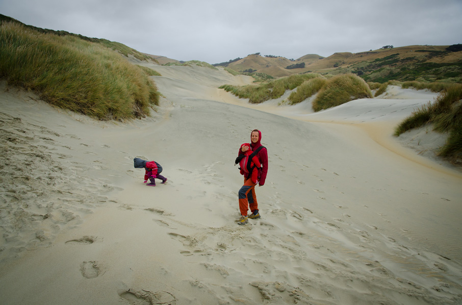 otagopeninsulasandflybeach.jpg