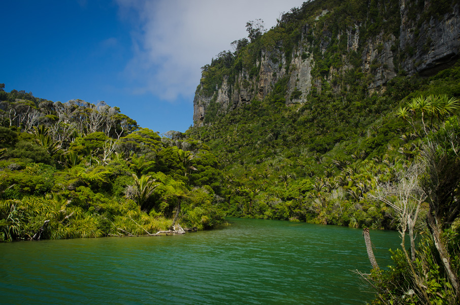 paparoanationalparkalongtheriver.jpg