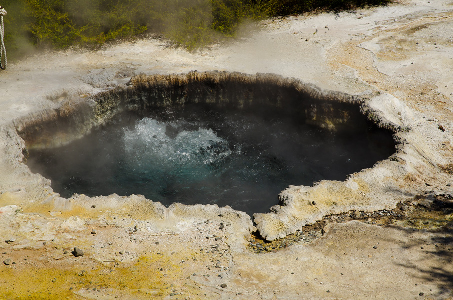 rotoruahotsprings.jpg