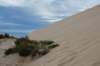 caborasosanddune_small.jpg