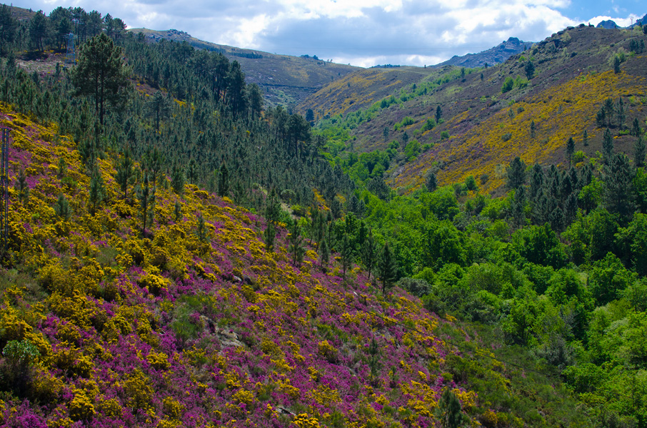 nationalparkserradapenedagerescolorfulnature.jpg