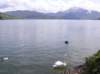 mondsee_small.jpg