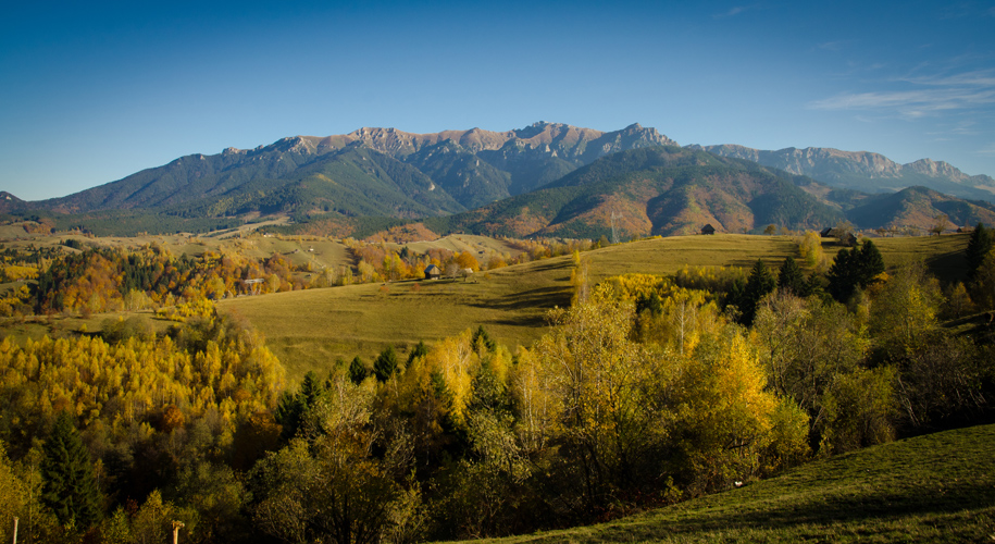 transylvnia2012bucegijesen.jpg