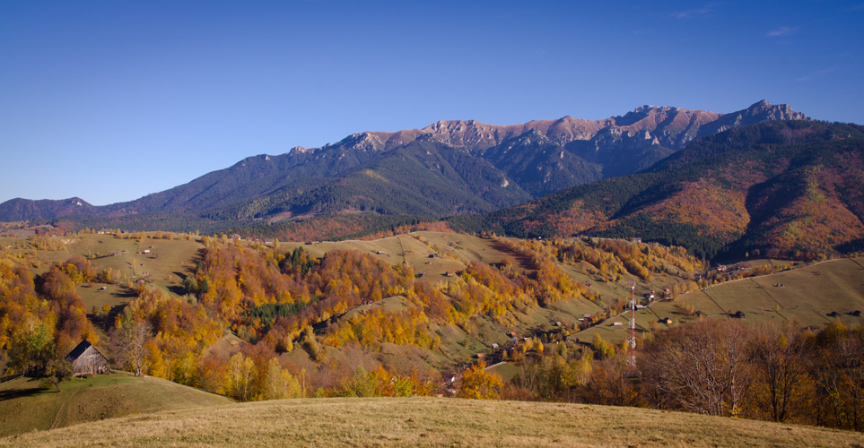 transylvnia2012bucegipastviny.jpg