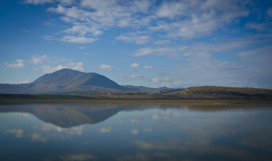 transylvnia2012dumbravita.jpg