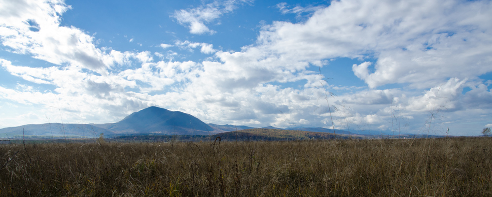 transylvnia2012dumbravitepanorma.jpg