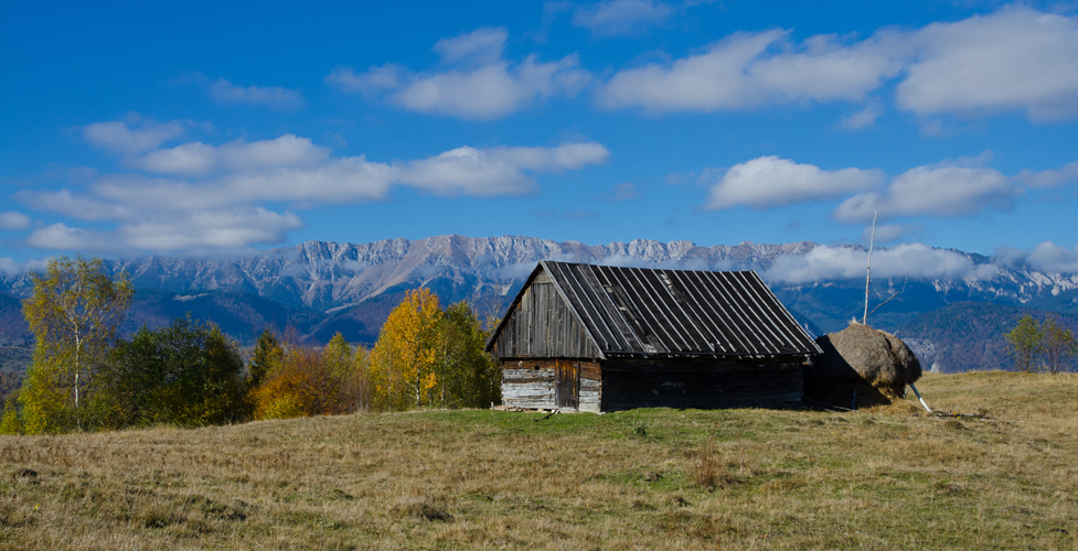 transylvnia2012piatracraiuluichatrc.jpg