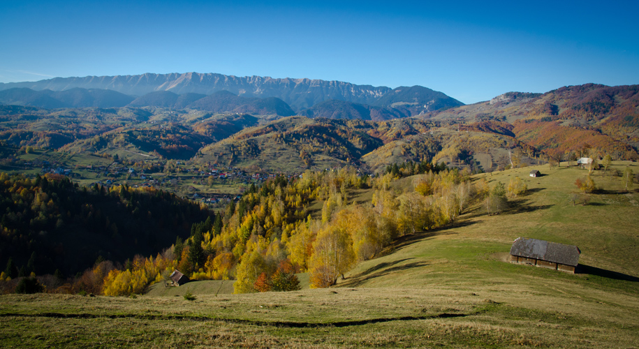 transylvnia2012piatracraiuluipastviny.jpg