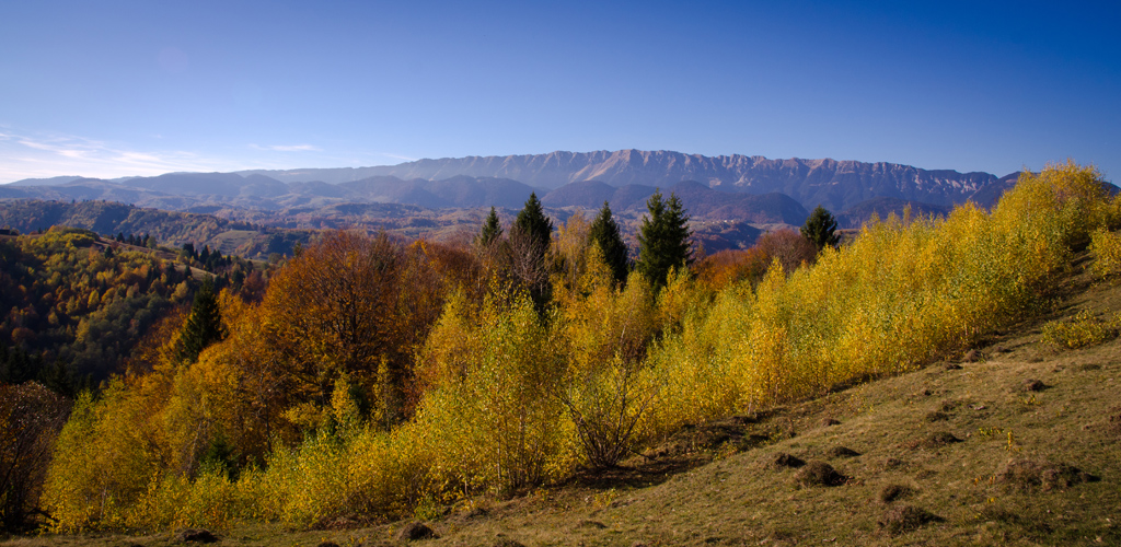 transylvnia2012piatracraiuluivofarbchjesene.jpg