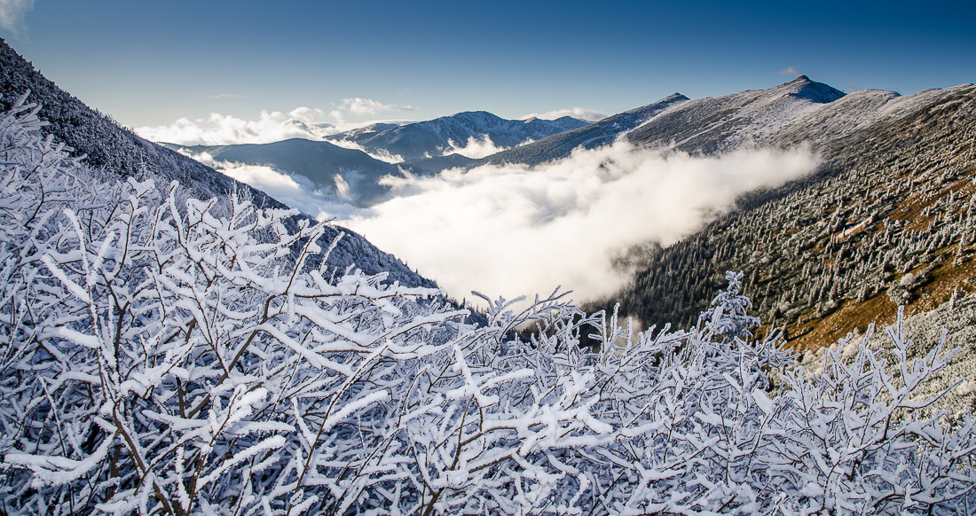 trip2022nzketatry.jpg