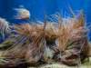 barcelona2025aquarium_small.jpg