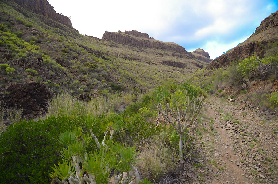 grancanariacaves.jpg